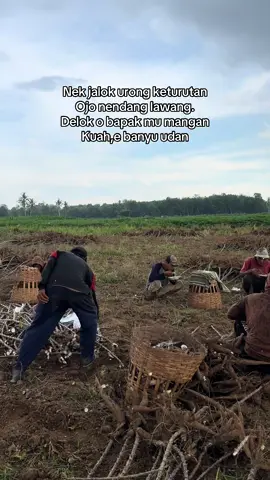 Kuli sesss#CapCut #petaniexpres #singkongbalap🤙 #fypage #masukberandafyp 