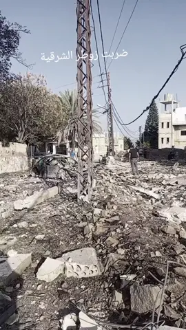 ##الجنوب ###الجنوب ###الجنوب ##الجنوب 