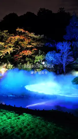 秋の紅葉×雲海のライトアップが、幻想的すぎてずっといたくなる空間でした。2025.11.2撮影 📍ZEN NIGHT WALK ・期間：2025.10.28~12.7 ・営業時間：17:00-20:00 ・場所：鎌倉 建長寺 ・最寄駅：JR横須賀線「北鎌倉」駅よりバス5分または徒歩約15分 ・料金： 【前売り券】 ・大人：平日2900円、休日3400円 ・12歳以下：平日1450円、休日1700円 ・6歳以下：無料 【当日券】 ・大人：平日3400円、休日3900円 ・12歳以下：平日1700円、休日1950円 ・6歳以下：無料 💡おすすめPOINT ・最寄駅は北鎌倉ですが、鎌倉駅から小町通りで食べ歩きして楽しんだ後に、小町通り抜けて建長寺に向かうルートがおすすめです。小町通り抜けてから約15分ほど。食べ歩きでは、チーズメンチや団子、鳩サブレのお店のワッフルなど幅広くあるので、お昼は食べ歩き、夜はライトアップイベントが楽しめます！ ・紅葉がこれから進むと思いますので、より幻想的な空間になると思います！ ⚠️注意 ・雲海を見れる場所は、人数が多くなると入場制限かかります。休日の17時30分頃時点で、15分程並びました。その後列も伸びていたので、1時間ぐらい並ぶ可能性もあります。17時ぐらいにはもう暗くなっているので、早めに行くことをおすすめします！ #建長寺 #鎌倉 #紅葉 #ライトアップ #zennightwalk 