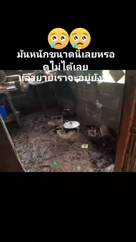 ทาก่อนเด้อยายลูกจะเก็บเงินสะก่อน ไปปลูกบ้านหลังใหม่ให้นะ#😔😔 