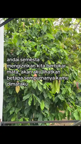 andai kamu tauu, aku lebih memilih membutakan mataku untuk tidak melihat kekurangan mu. #galaubrutal 