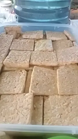 lalapan teras kota#kuliner nganjuk#fyppppppppppppppppppppppp 