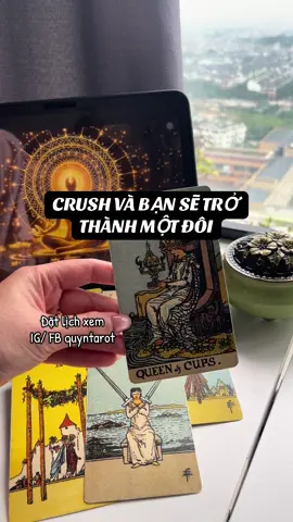 #quyntarot #thongdiepvutru #tarotreader 