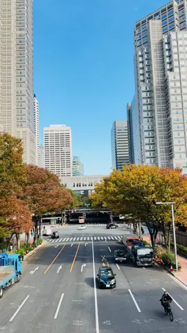 #新宿 #東京 #autumn #updates #秋の景色 