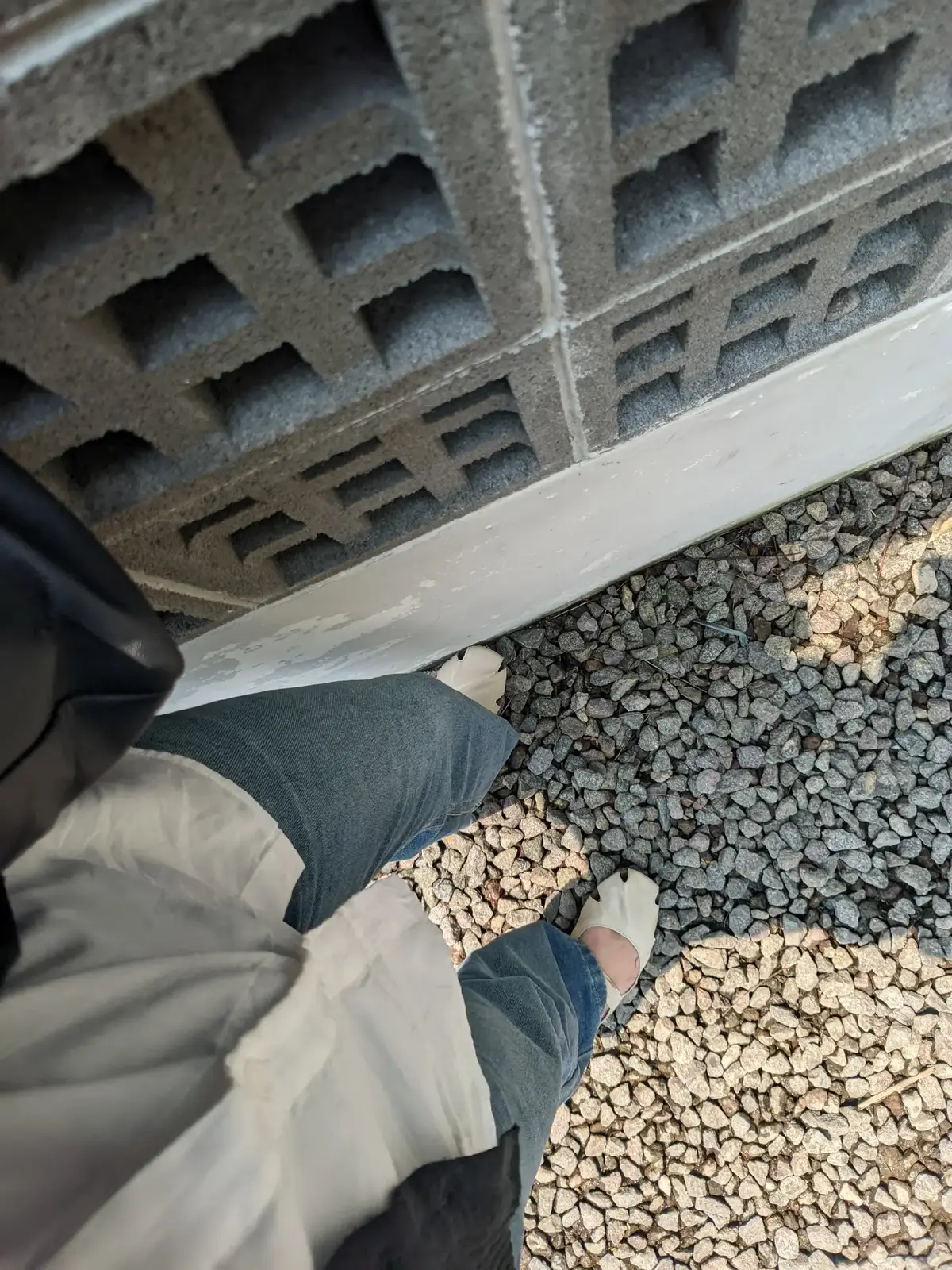 a little picture of me 🫰😚 #matcha #tya #moots? #foryou #fyp 