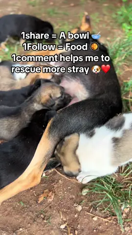 #fyppppppppppppppppppppppp #unitedstates #unitedkingdom #foryoupage #viraltiktok 