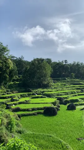 vibes toraja pagi☀️#masukberandafyp #fyppppppppppppppppppppppp #tanatoraja_sulawesiselatan 