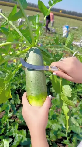 #malaysia #foryoupage 