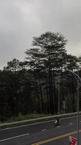 Buổi sớm đầy sương ở đèo Prenn😶‍🌫️ #dalat #hot #binhyen #deoprenn 