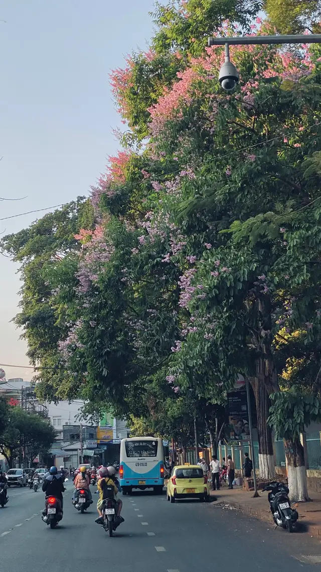 Mùa thu đi qua, em nghe đám lá gọi tên 🍂 