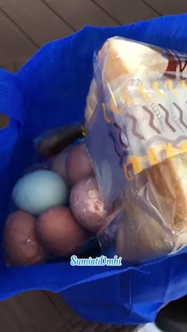 MasyaAllah alhamdulillah dapat Pembagian MBG 1 tas full 👍😇 #MBG #tiktokviral #bugistiktok #bugispinrang #fyp 