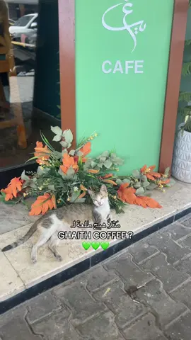 ديت كافية غيث صباح🤏🏻💚. #غيث_صباح #كافيه #عشوائيات #اكسبلور #foryou 