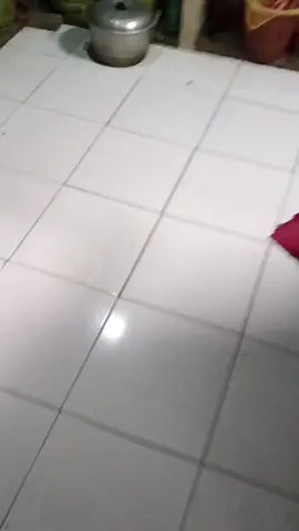 arep Madang be kemrutug temen 🤭#fyppppppppppppppppppppppp #kementerianwongunik #xybca #ngapakbanyumas #xybca 