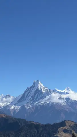 Mohare Dada #nepalitiktok #foryoupage #golive #short #explorer @creater search insight @Go LIVE 