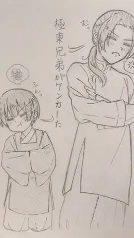 極東の仲直り方法(⚠️100%妄想) フォロワー1000⤴︎︎︎ありがとうございます #ヘタリア #イラスト #極東兄弟 #本田菊 #王耀 