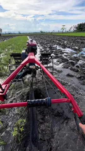 #petanimuda #wijapaggalung🌾 