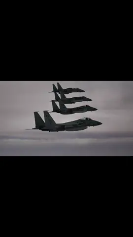 F-15 Eagle supremacy #aviation #supremacy #usaf #edit #f15 