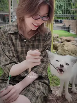 Nhìn kiểu gì cũng ra em bé #orm #ormkornnaphat #viral #fst♡ #xh #xhuong #xuhuong #xhtiktok #xhuongtiktok #xuhuongtiktok #visual #fyp #foryou #fypシ 