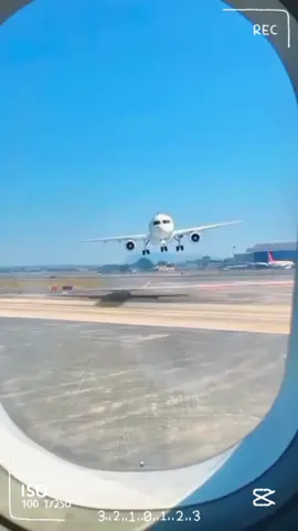 #f #fypシ #dogmom #foryourpage 