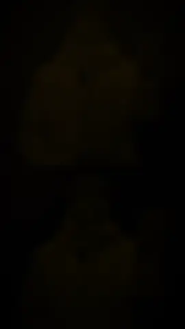 Mang ngay mùa đông tới đây #suphanatmueanta #bankkkk10  #vairal 