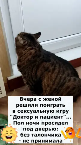 #юморист #позитив #котики #Марсик 