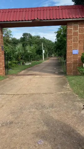 นานๆที่ได้ลง😇  #เวฟด่านขุนทด🤟🏻💵 #เวฟ125หัวแหลม🖤🤍 #เปิดการมองเห็น #ฟีดดดシ #เทรนวันนี้ 