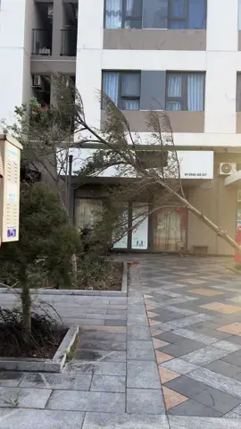 Dân miền Trung mình khổ quá #bao13 #baokamaeji