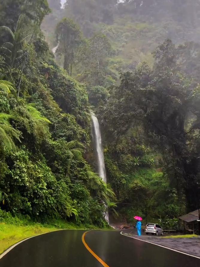 A long journey while it's raining #naturelover #lovenature #naturevibes #tamilbgmtravelling #srilanka 