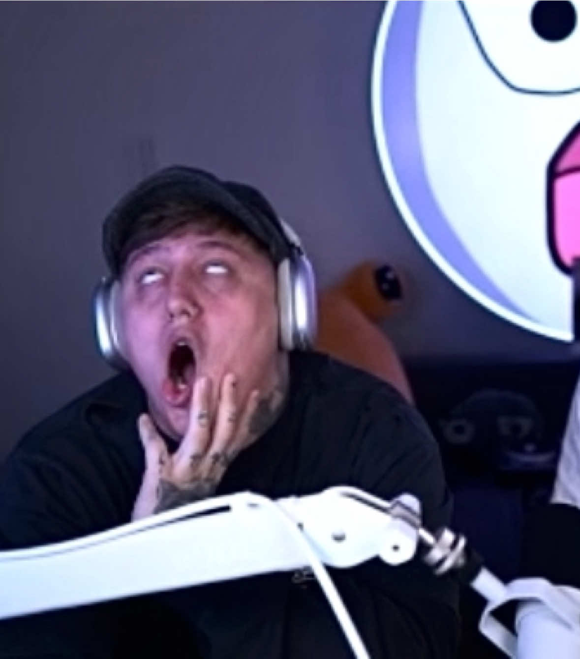 плесень хайпует #CMH #drakeoffc #твич #fyp #руслантушенцов 