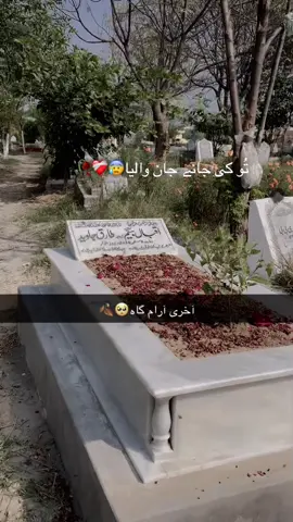 #Tu ki jany jan walga….🥀😭❤️‍🩹#foryou#🥺🥺🥺😰😰😰😭❤️‍ #missyoumamujan😭😭😭 #aliyanakram74 