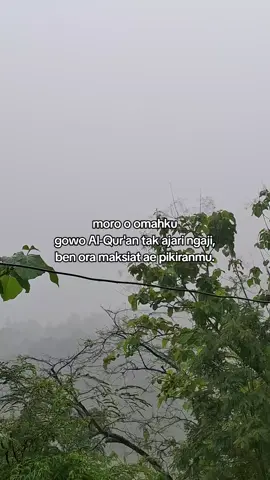 #lewatberanda #fyyyyyyypppppppp #xyzbca 