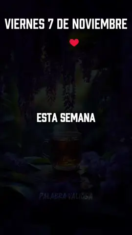 #dúo con @PALABRA VALIOSA #oracionespoderosas #8luisplaza8 #fifi🐰♥️🐯 #fifi🐰🇵🇷 