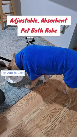Super Absorbent, Adjustable Pet Bath Robe #dog  #dogs #dogsoftiktok  #pet #PetsOfTikTok 