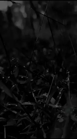 اللَّهُمَّ صَلِّ عَلَى سَيِّدِنَا مُحَمَّدٍ الْفَاتِحِ لِمَا أُغْلِقَ وَالْخَاتِمِ لِمَا سَبَقَ نَاصِرِ الْحَقِّ بِالْحَقِّ وَالْهَادِى إِلَى صِرَاطِكَ الْمُسْتَقِيمِ وَعَلَى آلِهِ حَقَّ قَدْرِهِ وَمِقْدَارِهِ الْعَظِيمِ.