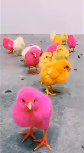 #creatorsearchinsights #cartoon #treanding #viral #fyp 