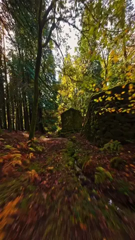 📍Levada da Vibora/Maderia/(Portugal) Portekiz 🇵🇹 Levada da Víbora, Portekiz’in Madeira Adası’nda bulunan doğal yürüyüş rotalarından biridir. “Levada”lar, adanın dağlık bölgelerinde suyu tarım alanlarına taşımak için yapılmış tarihi su kanallarıdır. Levada da Víbora, özellikle doğa ve yürüyüş severler için sakin ve yeşillikler içinde bir parkur sunar. Yol boyunca okaliptüs ağaçları, yerel bitki örtüsü ve adaya özgü kuş türleriyle karşılaşılır. Rota genellikle orta zorluktadır ve hava şartlarına göre dikkatli yürünmesi önerilir. 📍 Konum: Madeira Adası, Portekiz 🚶‍♂️ Aktivite: Doğa yürüyüşü (levada yürüyüşü) 🌿 Özellik: Yeşil vadiler, su kanalı manzarası, sessiz ve huzurlu ortam.