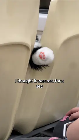 This is the gift girls most looking forward to receiving #Chongker #cuteanimals #chongkerbackpack #realisticplushies #giftideas 