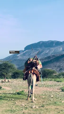 Soo qor Hal maah maah oo ku haboon📍 #baadiye #miyi #cerigaabo #somalitiktok #somalilandtiktok💚🤍❤ 