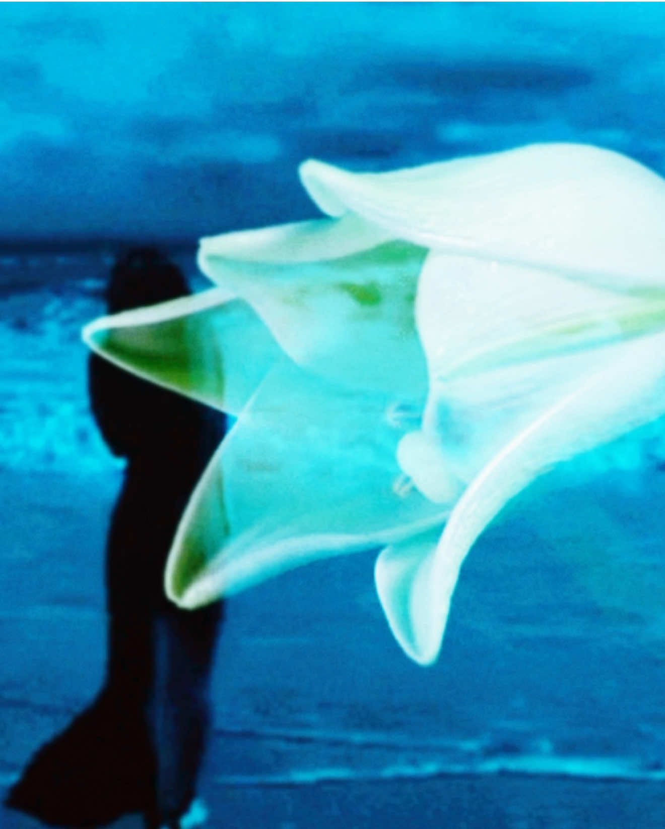 reliquia - rosalía #rosalia #lux #music #lyric #fyp 