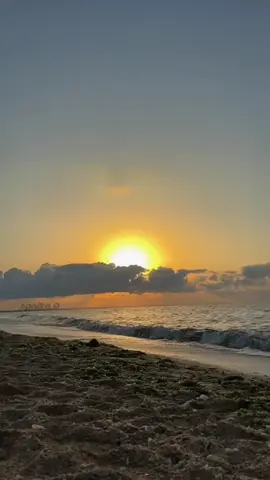 ‏#دويتو مع @₊°𝐎𝐩𝐚𝐥𝐤𝐚.𝐃🍂˚ 