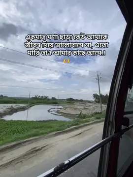 একমাত্র মশা ছাড়া কেউ আমাকে জীবন দিয়ে ভালোবাসে না, এতো মারি তাও আমার কাছে আসে.!🫶#foryou #foryoupag 