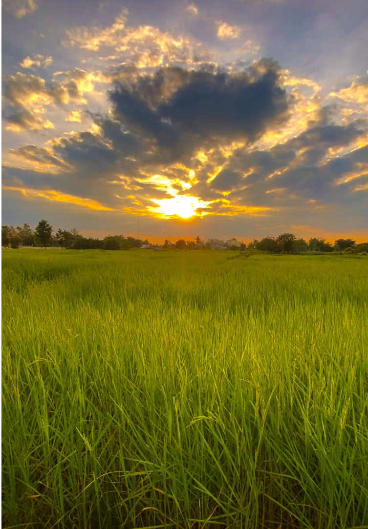 🥺 #รับโปรโมทเพลง #วิวบ้านนอก🍃 #ท้องฟ้า⛅🌈 