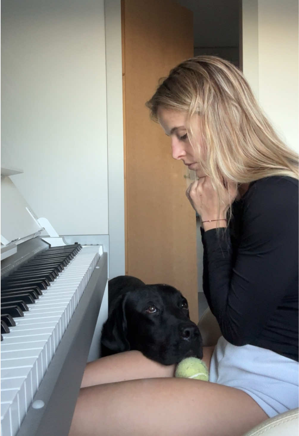24h/24h avec sa balle 😭 #piano #dog #singer #fyp 