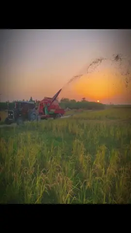 منهنجي ڳوٺ جي اناج مان ڀرجي ٿو تُنهنجي شھر جو پيٽ  تنهنجي شھر جا امير ماڻهون اسان کي جاهل سڏيندا آھن 