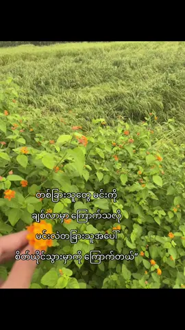 တစ်ခြားသူအပေါ်စိတ်ယိုင်သွားမှာကြောက်တယ် အချစ်ကလေးရယ်💕#fypシ゚ 