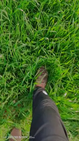 #تصويري_احترافي_الاجواء👌🏻🕊😴 