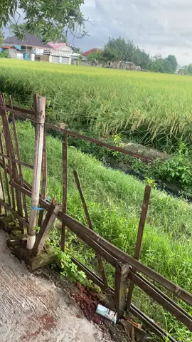 Sukra-Indramayu vibes