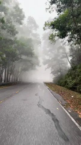 ផ្លូវភ្នំបូកគោ🍃…