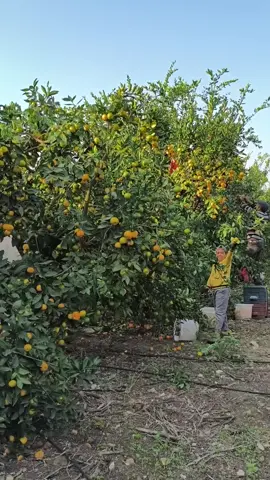 #اعاده_نشر🔁 #استغفرالله_واتوب_اليه_من_كل_ذنب_عظيم #ارزين_هاتاي #CapCut #اللهم_صل_وسلم_على_نبينا_محمد 