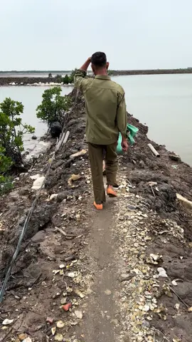 Quay đc cảnh thu lưới thì ối rồi ôi luôn 😄 nhìn cá đóng là đủ hiểu ae nhỉ kk #xuhuong 